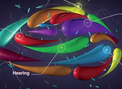 Infographiste et motion designer