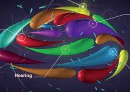 Infographiste et motion designer